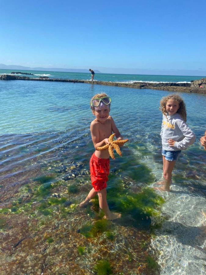 Our Hermanus House エクステリア 写真