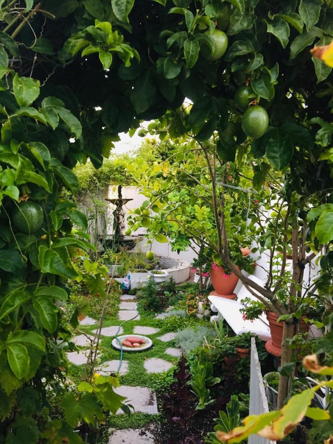 Our Hermanus House エクステリア 写真