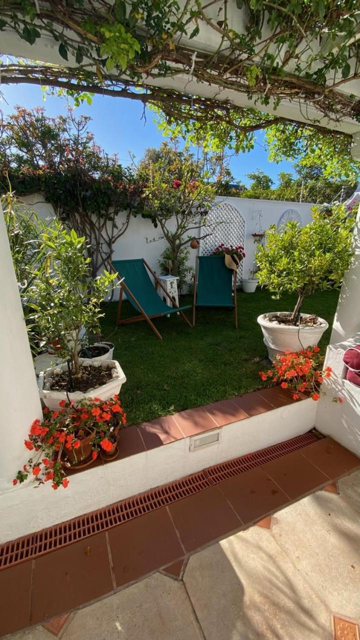 Our Hermanus House エクステリア 写真